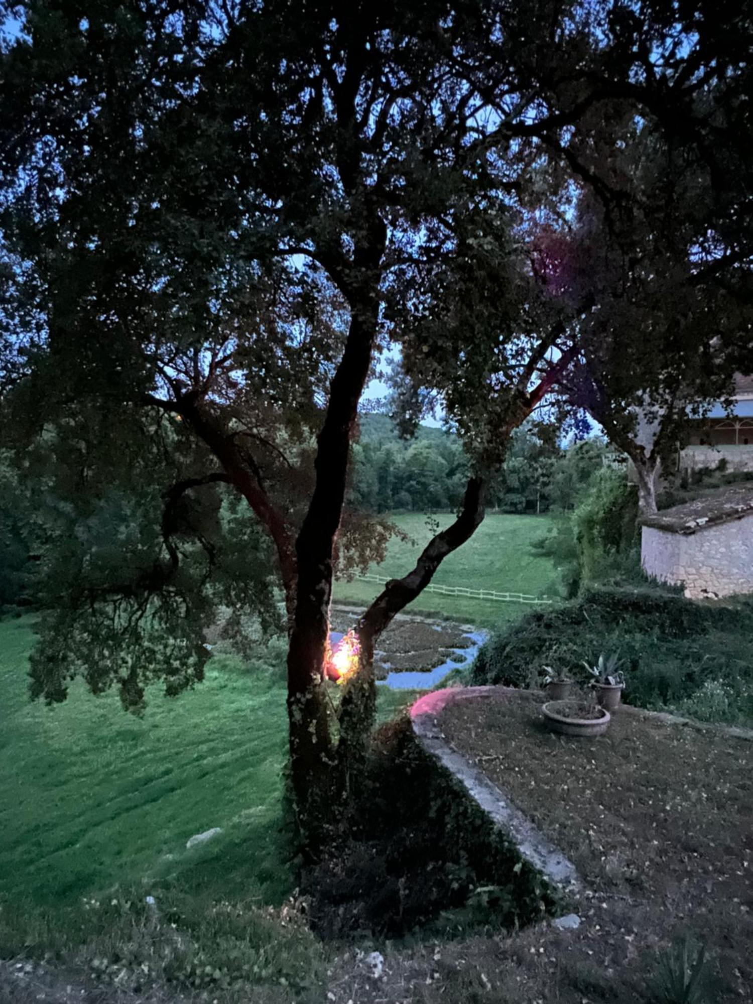 Gite Du Manoir Le Roc Couze-et-Saint-Front Zewnętrze zdjęcie